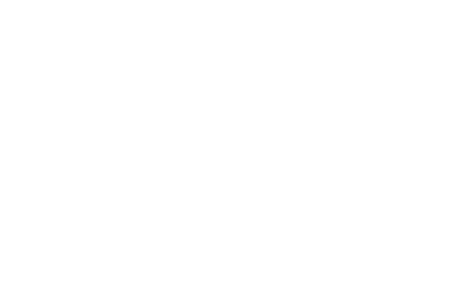 HALO Vision