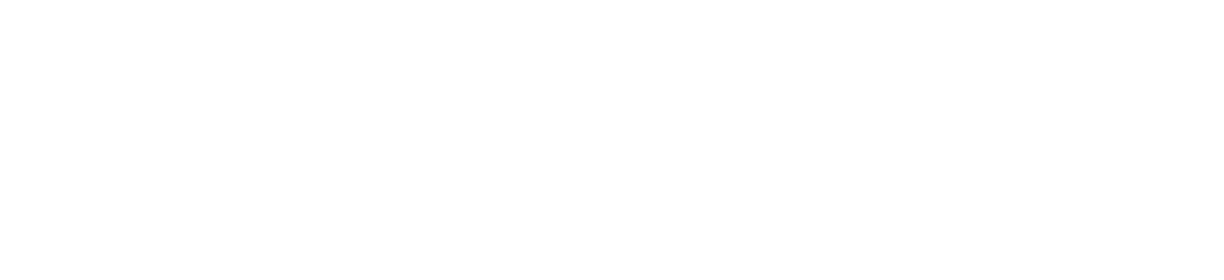 HALO Vision