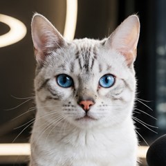 VIN